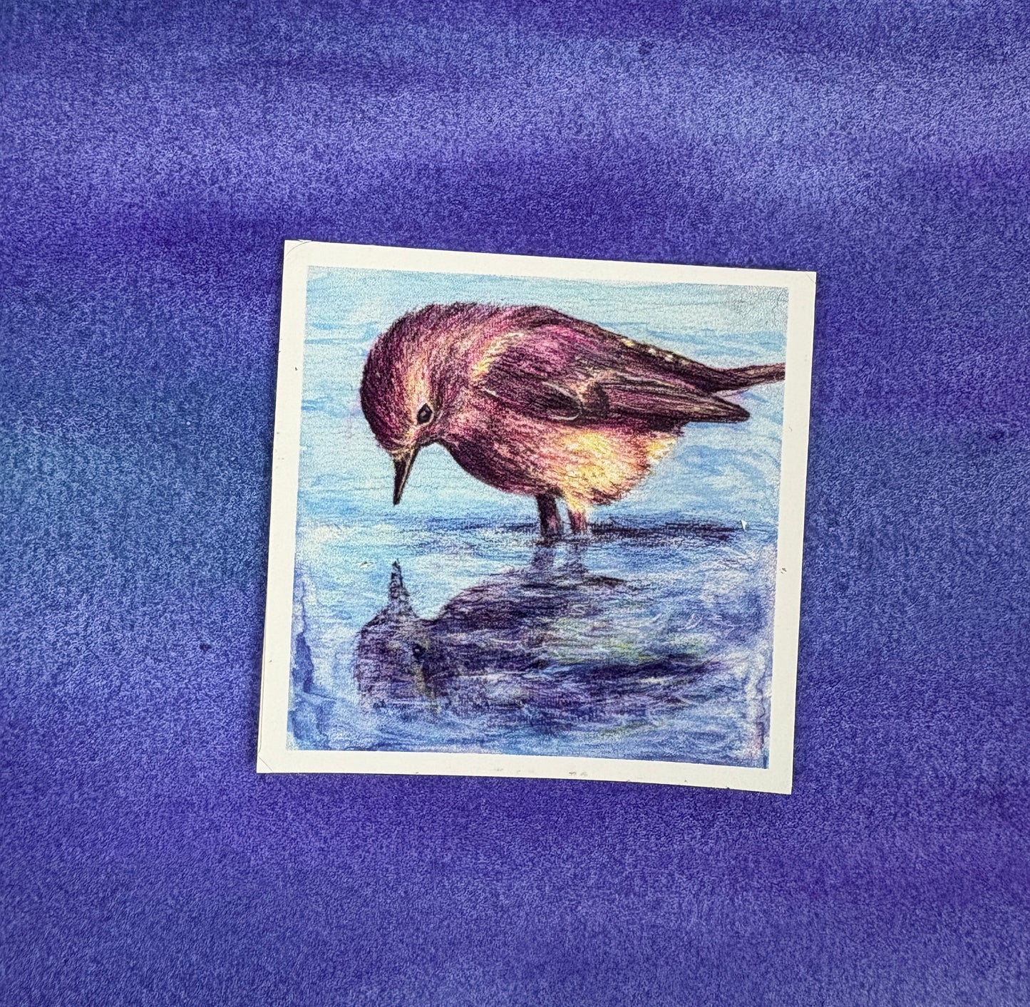 Little Bird’s Reflection - Sticker