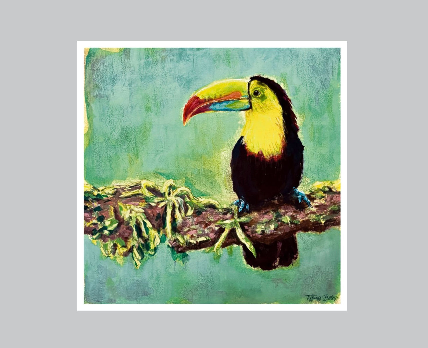 Toucan’s Perch - Fine Art Print - 8” x 8”