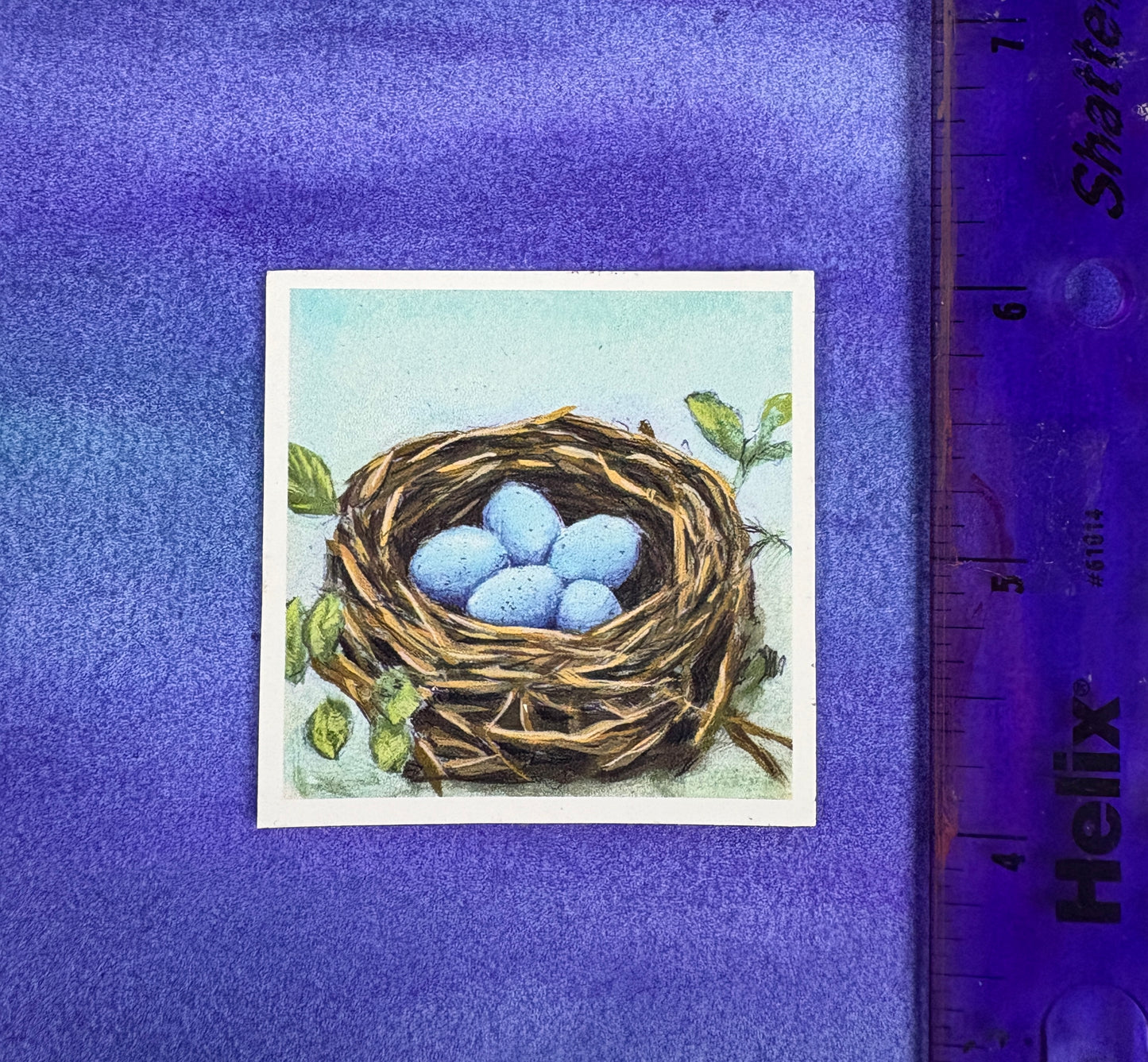 Robin’s Nest - Sticker