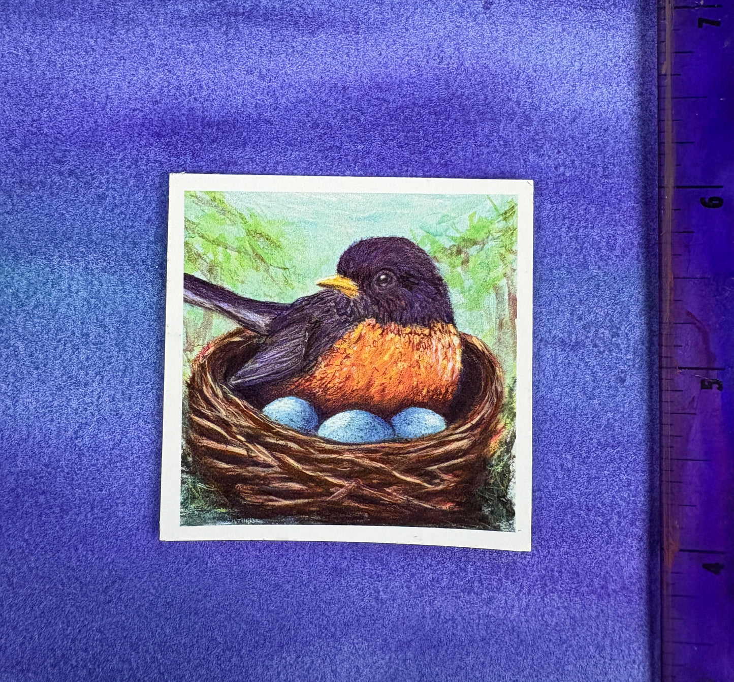 Mamma Robin - Sticker