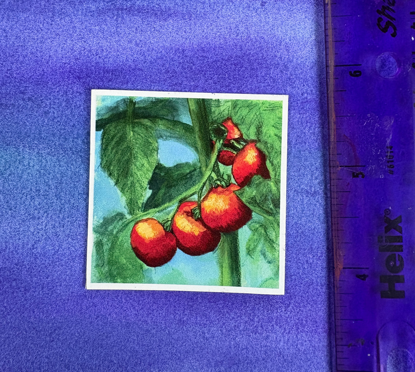 Sun-Kissed Tomatoes - Sticker