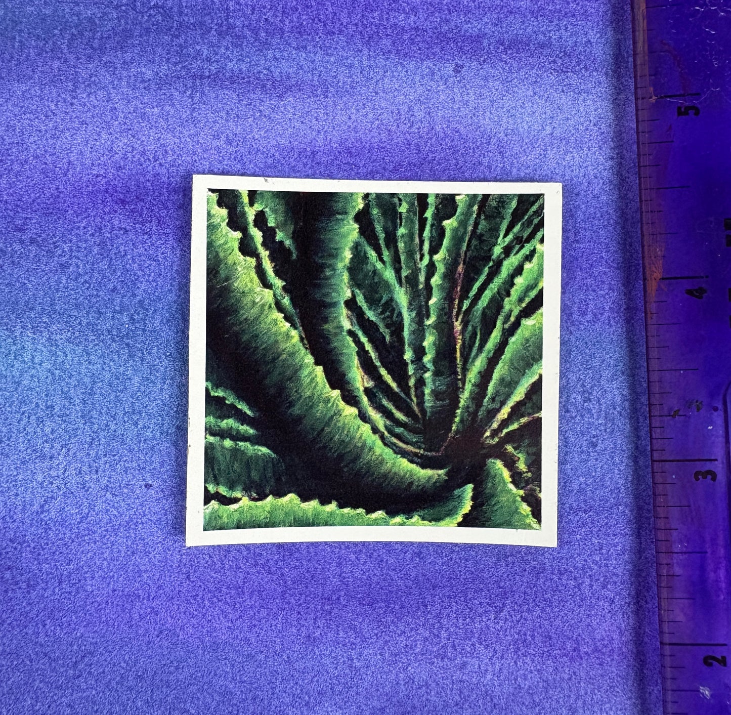Aloe Confluence - Sticker