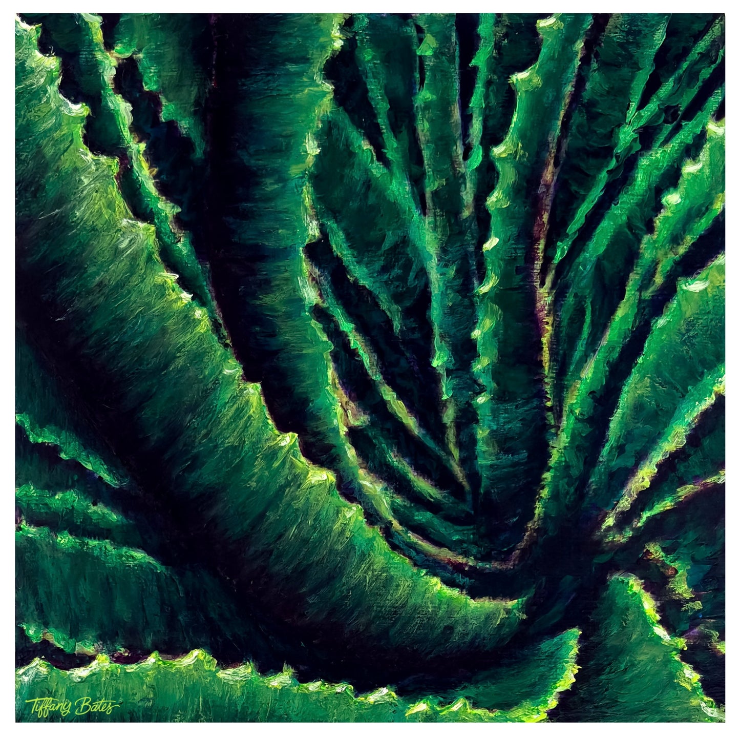 Aloe Confluence- Original Oil Painting