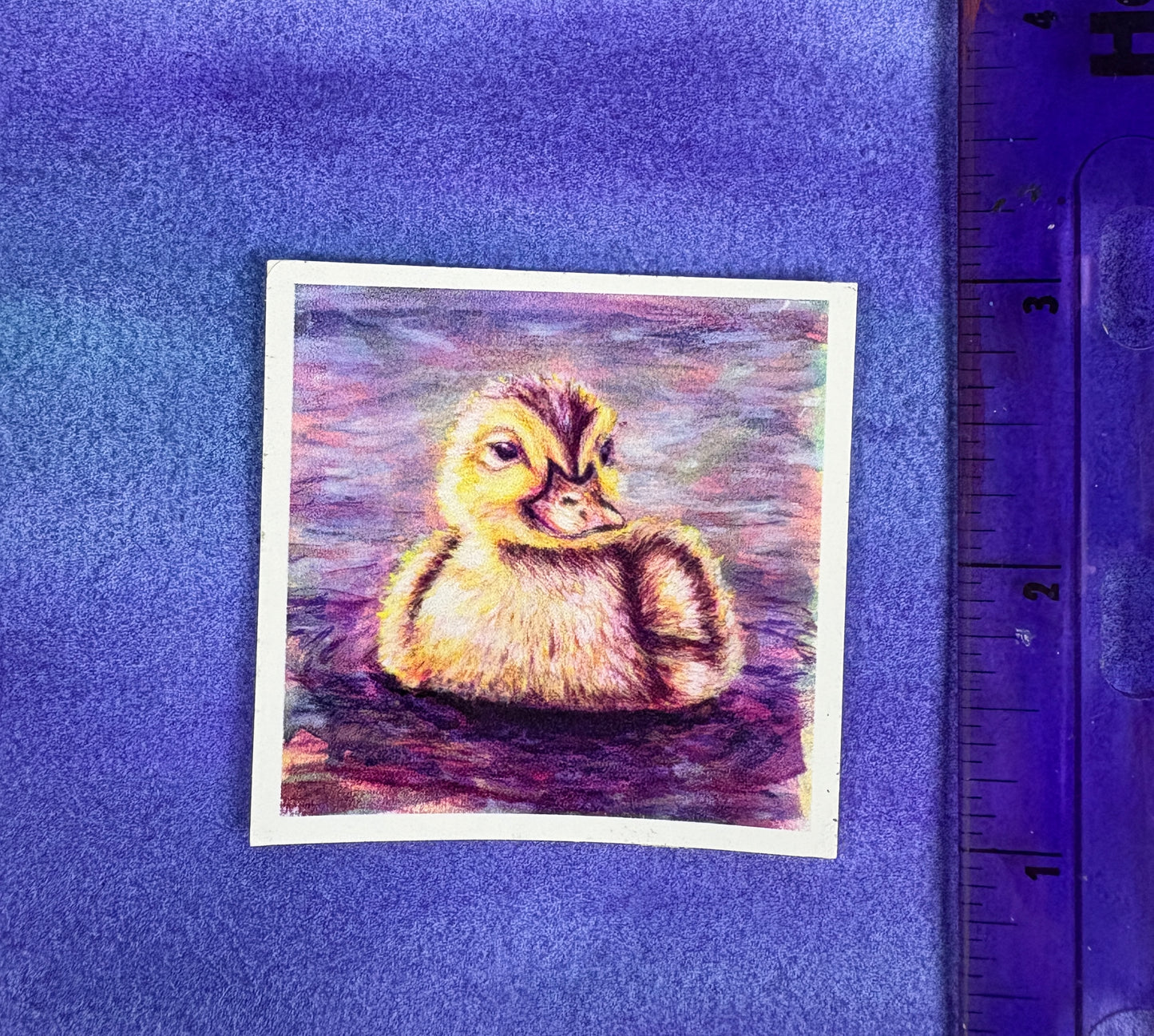 Darling Duckling - Sticker