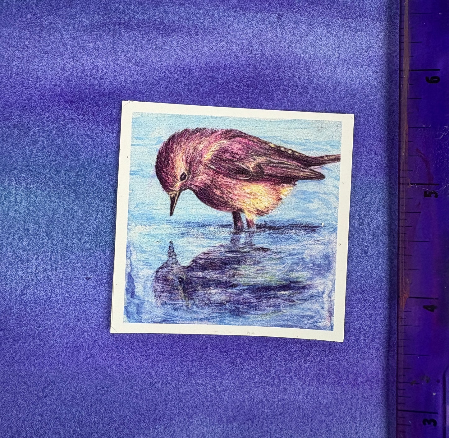 Little Bird’s Reflection - Sticker