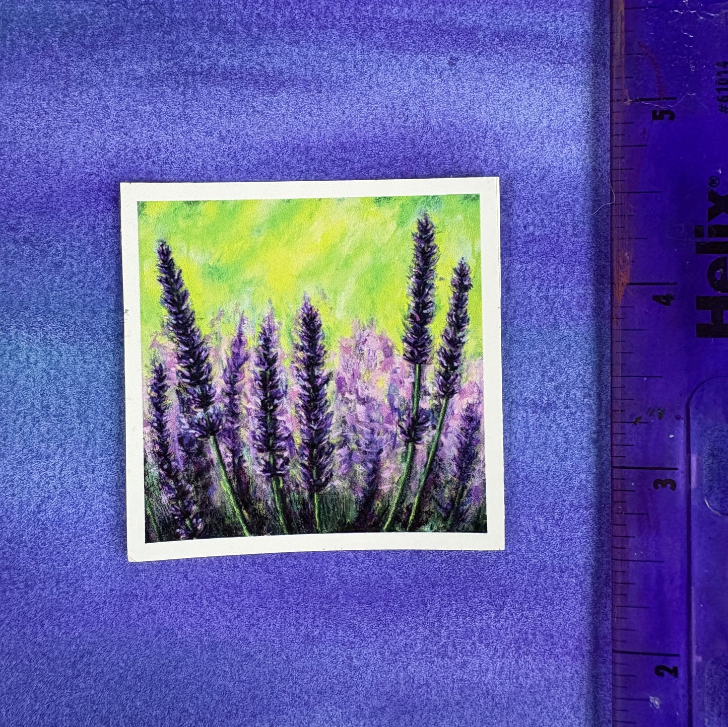 Lavender Fields Forever - Sticker