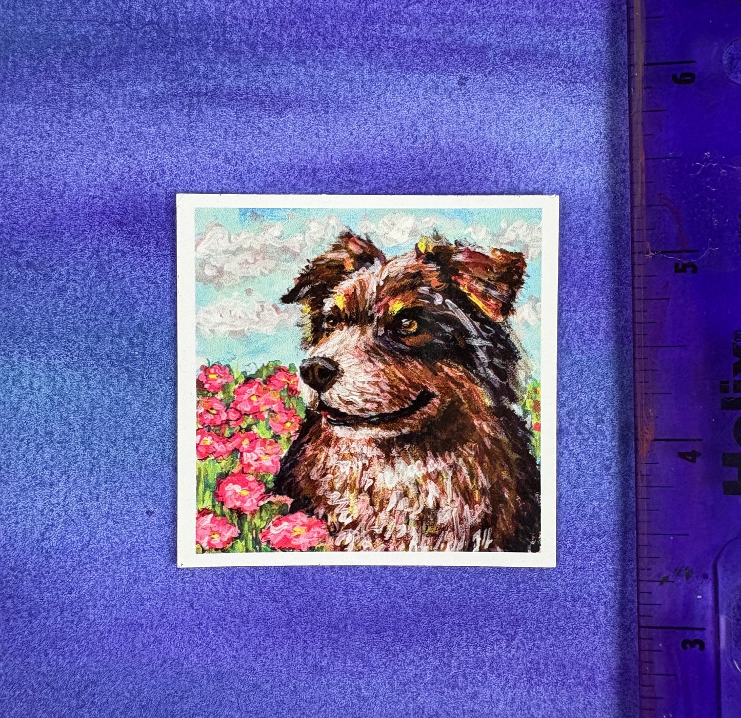 Awestruck Aussie - Sticker