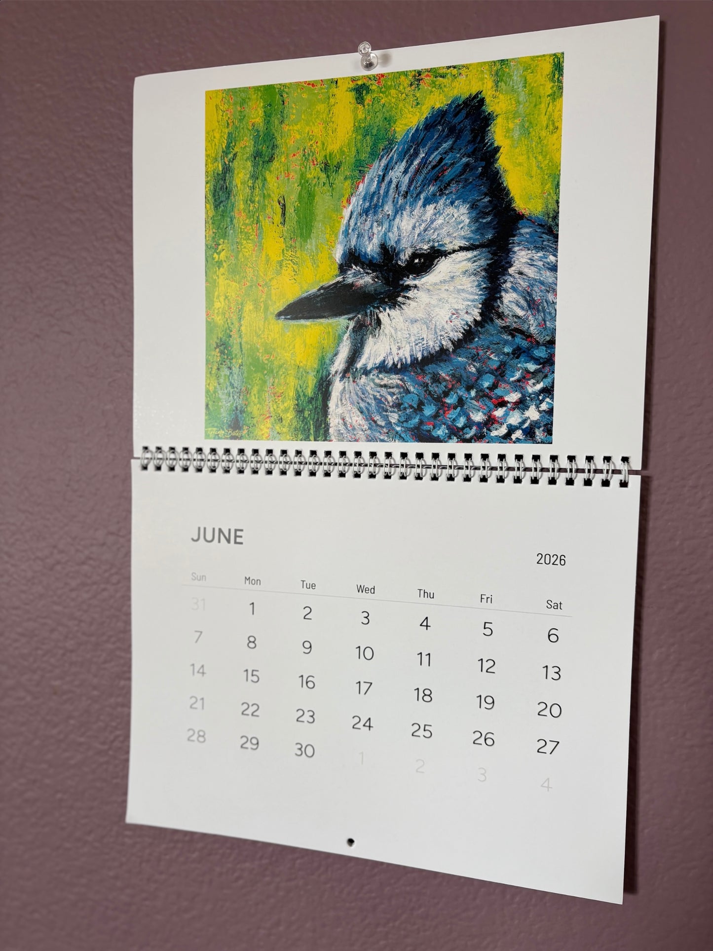 Calendar with a blue jay illustration on a purple wall
