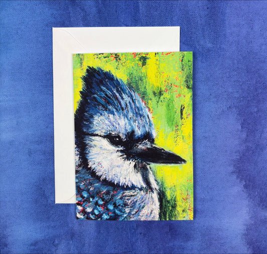 Bluejay’s Gaze  - Greeting Card