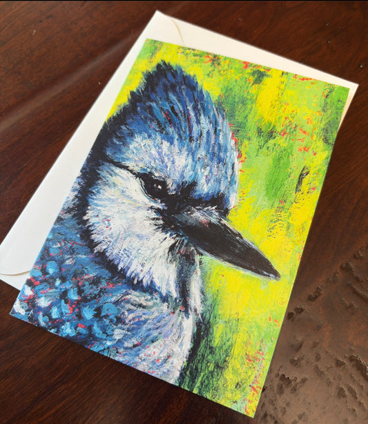Bluejay’s Gaze  - Greeting Card