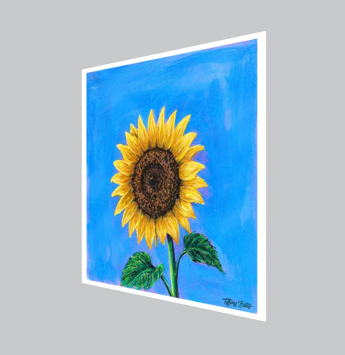 Angled view of Fine art print of a gouache Painting of a sunflower against a blue background