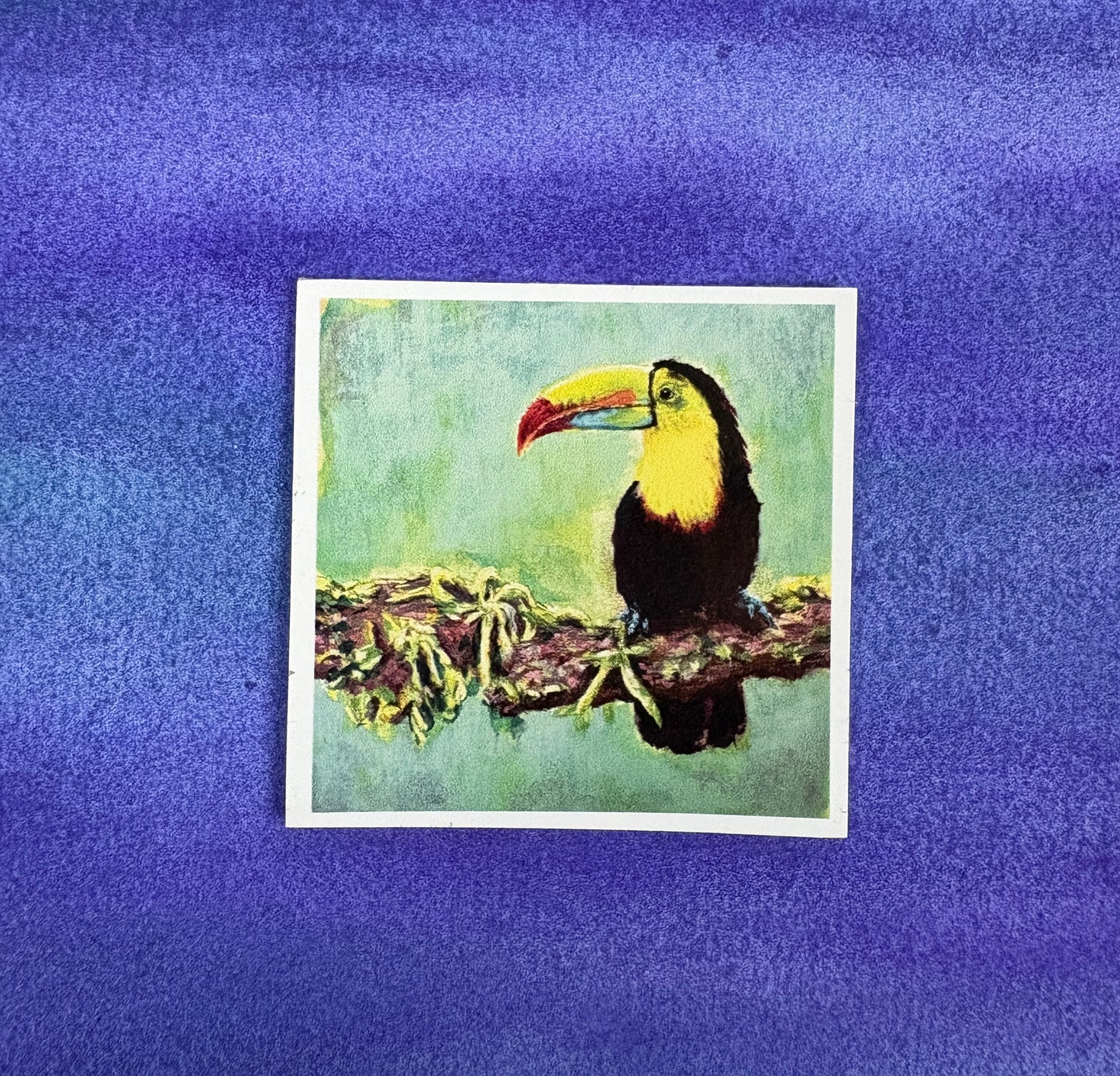 Toucan’s Perch - Sticker