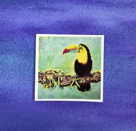 Toucan’s Perch - Sticker