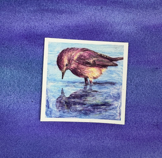 Little Bird’s Reflection - Sticker