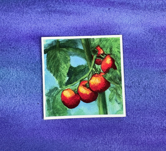 Sun-Kissed Tomatoes - Sticker