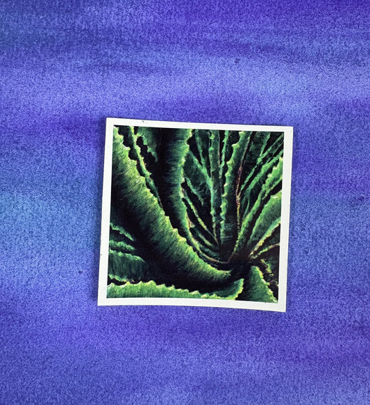 Aloe Confluence - Sticker