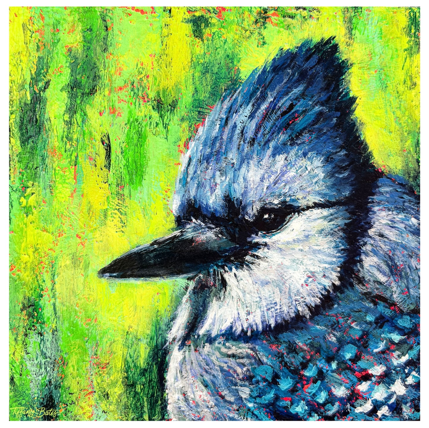 Colorful Original oil painting of a bluejay with a vibrant green background.