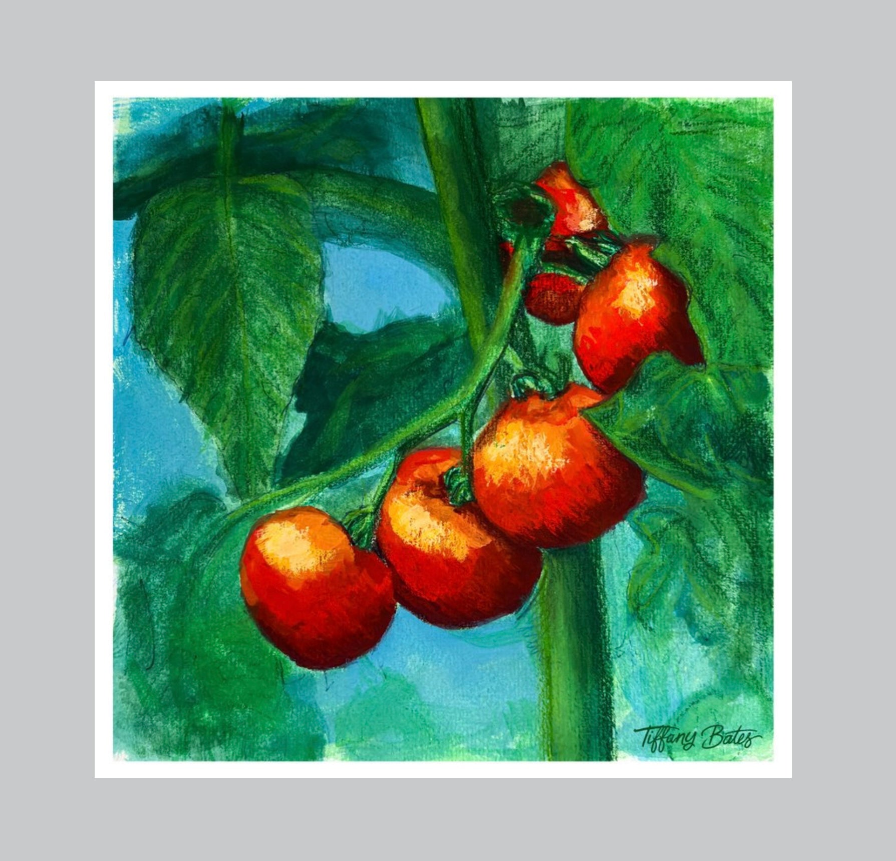 Fine art print of gouache painting depicting red tomatoes on a vine with green leaves.