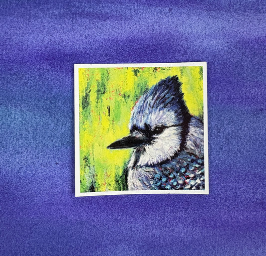 Bluejay’s Gaze - Sticker