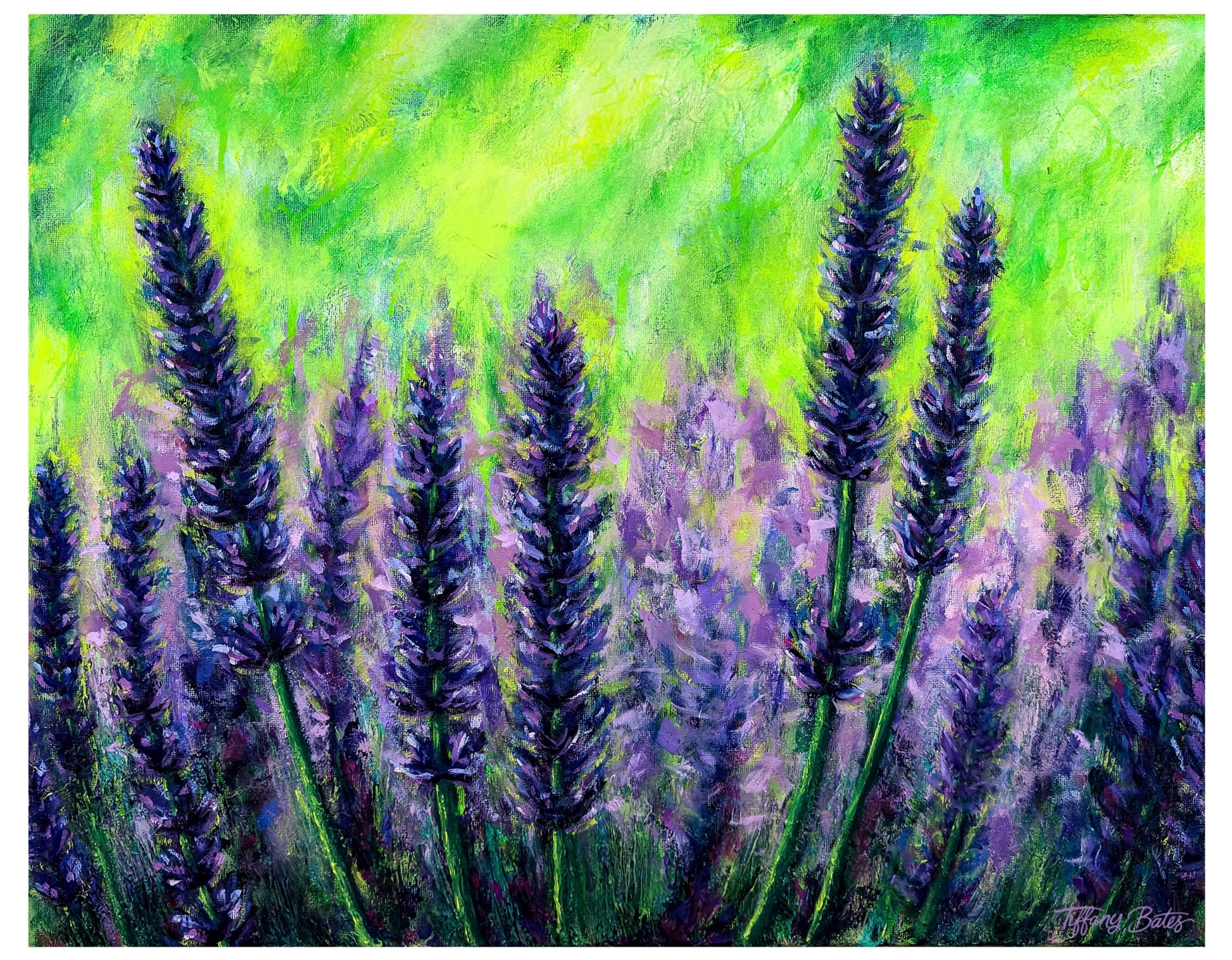 Vibrant colorful Painting of a purple lavender flower field with a green background.